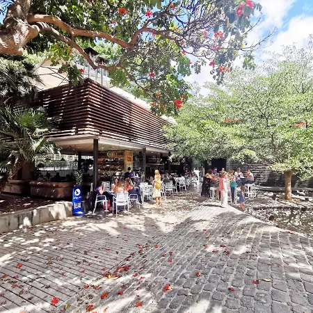 Home2book El Encanto 3 De Mayo 公寓 圣克鲁斯-德特内里费