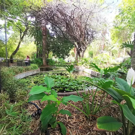 Home2book El Encanto 3 De Mayo * 圣克鲁斯-德特内里费