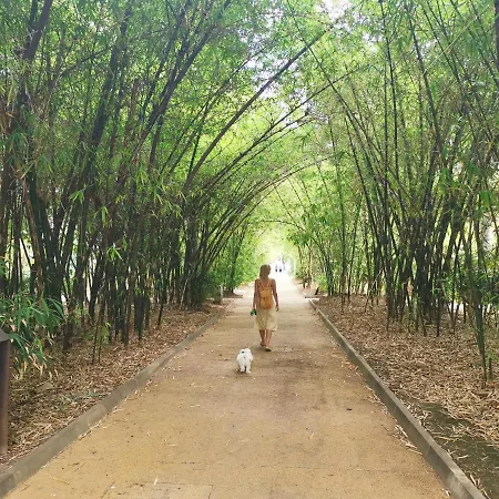 Home2book El Encanto 3 De Mayo 公寓 *